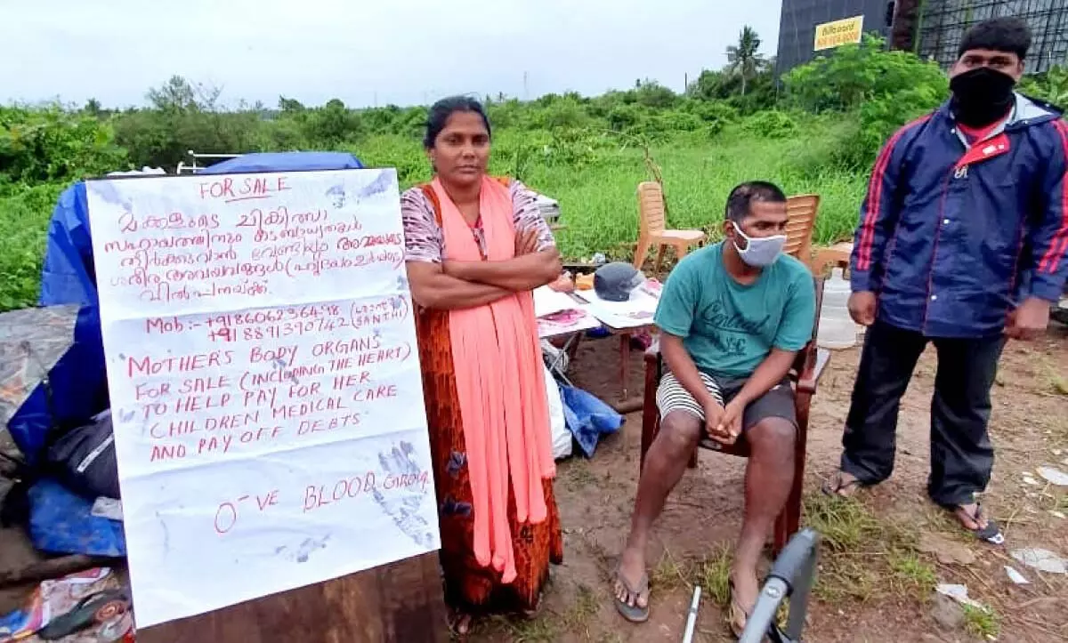 mother and sons mother and sons