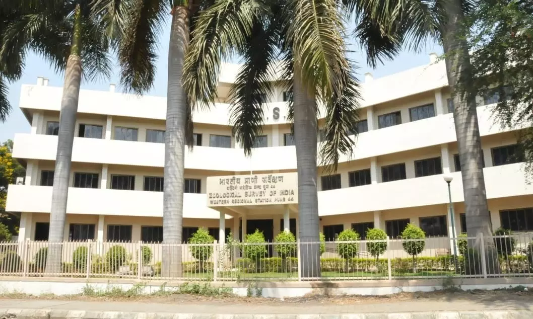 സുവോളജിക്കൽ സർവേ ഓഫ്​ ഇന്ത്യയിൽ 20 റിസർച്​ ഫെലോ