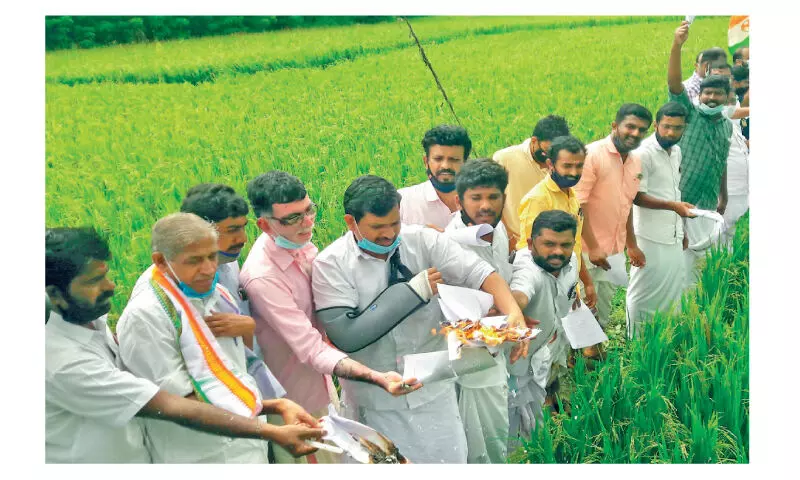 ക​ർ​ഷ​ക​ദ്രോ​ഹ ബി​ല്ലി​നെ​തി​രെ രോ​ഷം ക​ത്തു​ന്നു