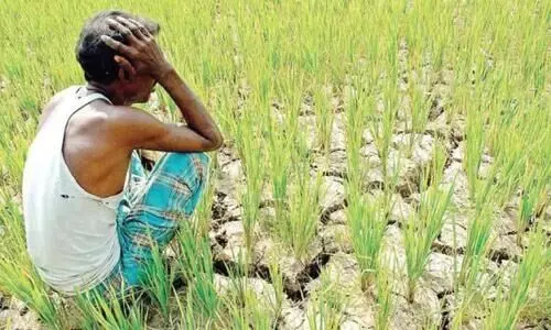 മോദിയുടെ പരിഷ്കാരങ്ങൾ കർഷകർക്കെതിരായ സർജിക്കൽ സ്ട്രൈക്ക് !