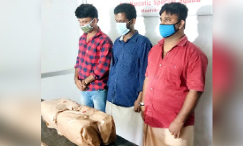 പത്തു​ കിലോ കഞ്ചാവുമായി മൂന്നു പേർ പിടിയിൽ