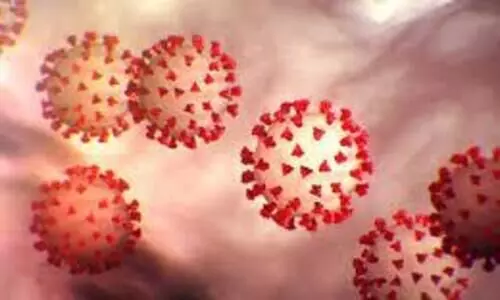 കൊറോണ വൈറസിന്​ ജനിതക മാറ്റം; കൂടുതൽ സാംക്രമിക ശേഷിയുള്ളതെന്ന്​ പഠനം