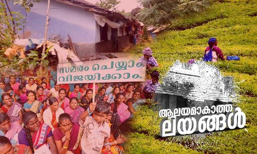 നിസ്സഹായതക്കു മുന്നിൽ നിയമത്തിനും തോൽവി