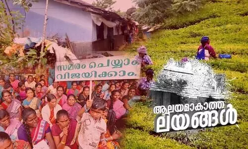 നിസ്സഹായതക്കു മുന്നിൽ നിയമത്തിനും തോൽവി