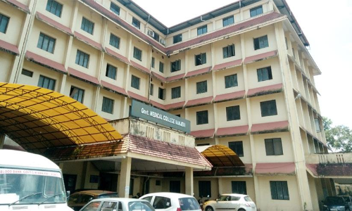 കോവിഡ് ബാധിതയായ വയോധികയുടെ മരണം; അന്വേഷിക്കാൻ രണ്ടംഗ കമീഷൻ