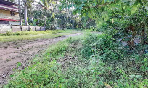 കാ​ടു​പി​ടി​ച്ച് മൈ​താ​ന​ങ്ങ​ൾ; പ​രി​ശീ​ല​നം പ്ര​തി​സ​ന്ധി​യി​ൽ