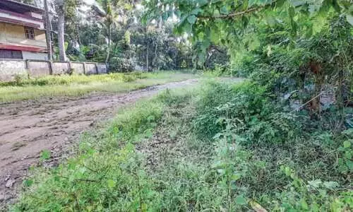 കാ​ടു​പി​ടി​ച്ച് മൈ​താ​ന​ങ്ങ​ൾ; പ​രി​ശീ​ല​നം പ്ര​തി​സ​ന്ധി​യി​ൽ