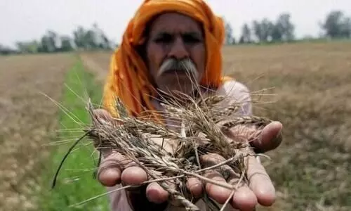 കാർഷിക ബിൽ: വ്യവസായികൾ ഇനി കർഷകരുടെ വീട്ടുപടിക്കലെത്തും