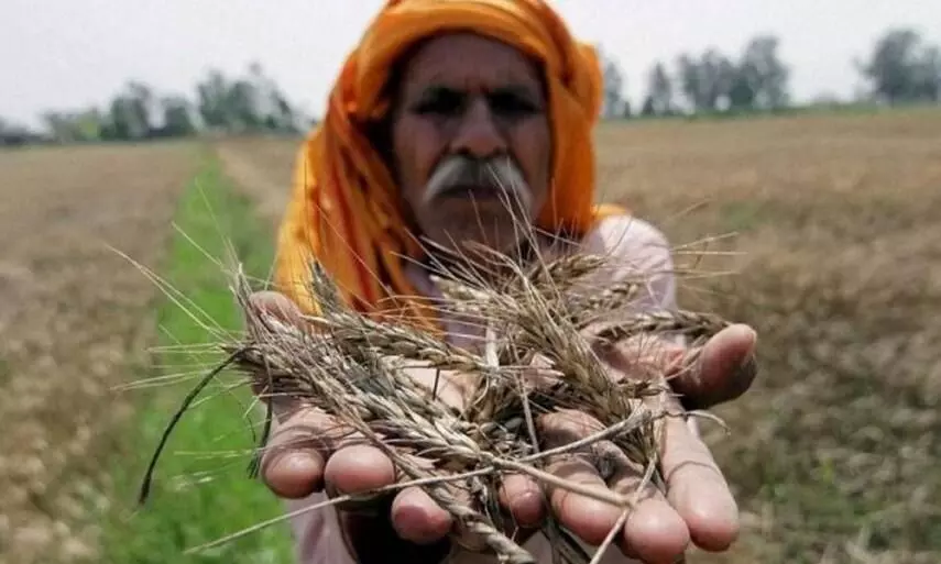 കാർഷിക ബിൽ: വ്യവസായികൾ ഇനി കർഷകരുടെ വീട്ടുപടിക്കലെത്തും