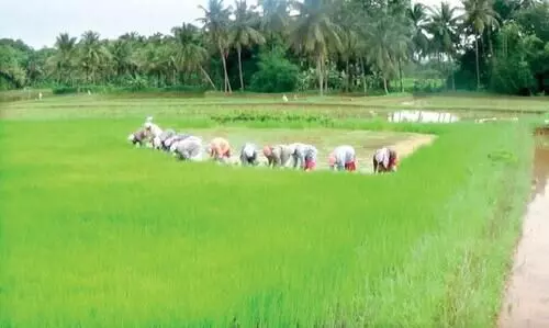 മലയോരങ്ങളിൽ സമരപരമ്പര; കർഷകർക്ക്​ പിന്തുണ പ്രഖ്യാപിച്ച്​ സഭകൾ