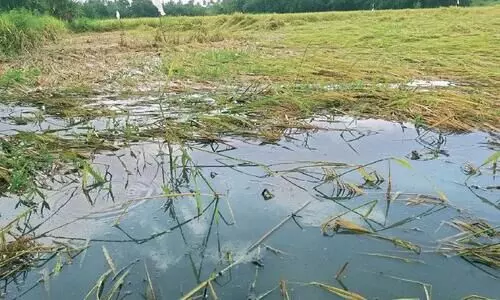 ക​ണ്ണീ​ർ​പാ​ട​ത്ത്...