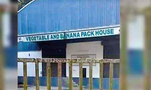 refrigeration godown