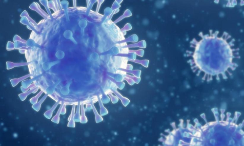 സൗദി അറേബ്യയിൽ 472 പേർക്ക്കൂടി​ കോവിഡ്​