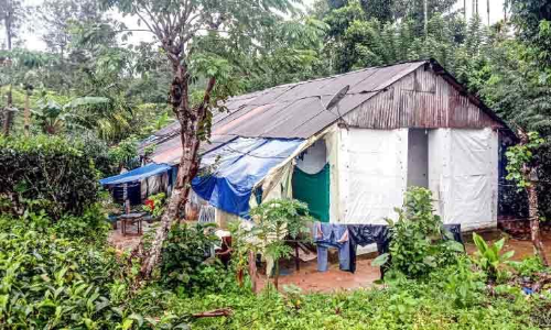 തോട്ടങ്ങളിൽ ഐസൊലേഷൻ പാടികൾ പുന:സ്ഥാപിക്കണം