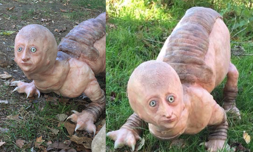 ഭീകരജീവിയെ പേടിച്ച്​ വാട്​സാപ്പ്​ മാമൻമാർ; വൈറലായ ചിത്രങ്ങൾ കാണാം