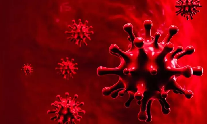 പായിപ്ര കോവിഡ് ചികിത്സകേന്ദ്രത്തിെല പോരായ്മ പരിഹരിക്കാൻ നടപടി പായിപ്ര കോവിഡ് ചികിത്സകേന്ദ്രത്തിെല പോരായ്മ പരിഹരിക്കാൻ നടപടി