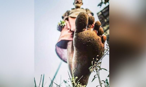 വിത്തെടുത്ത് കുത്തുന്ന ഭരണകൂടം