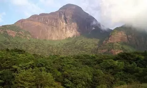 വന്യജീവി സങ്കേതം ബഫര്‍ സോൺ പരിധി കുറക്കണമെന്ന്​ കേരളം