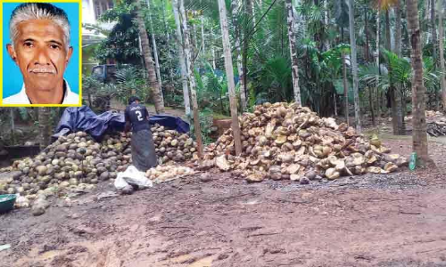 Coconut Processing Center