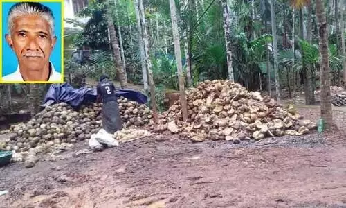 Coconut Processing Center