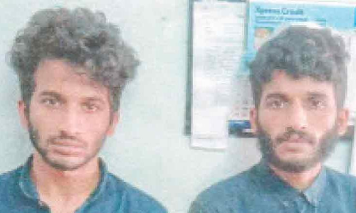 Brothers arrested with cannabis