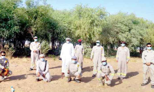 പരിസ്​ഥിതി വകുപ്പ്​ 1500 കാ​ട്ടു​ചെ​ടി​ക​ൾ ന​ട്ടു