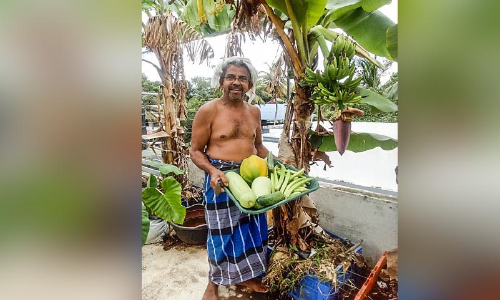 ഹോട്ടൽ മാലിന്യം വളമാക്കി കബീറിൻ്റെ മട്ടുപ്പാവ് കൃഷി