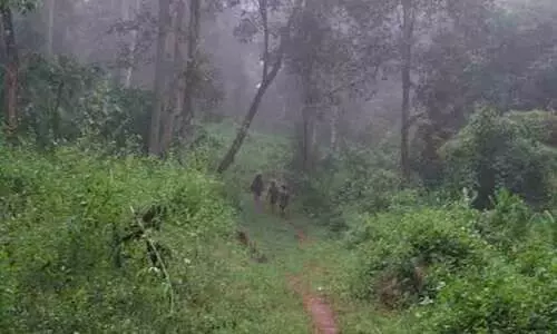 ഗൂഗിൾ മാപ്പ് നോക്കി തേക്കടിക്ക്​ പോയവർ എത്തിയത്​ ശബരിമലയിൽ; കേസെടുത്ത്​ ജാമ്യത്തിൽ വിട്ടു