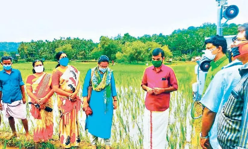 കൃഷിക്ക് കാവലായി ഫാം വാച്ച്മാന്‍