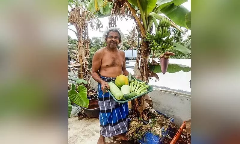 ഹോട്ടൽ മാലിന്യം വളമാക്കി കബീറിൻ്റെ മട്ടുപ്പാവ് കൃഷി ഹോട്ടൽ മാലിന്യം വളമാക്കി കബീറിൻ്റെ മട്ടുപ്പാവ് കൃഷി