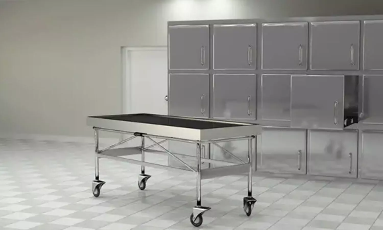 പൂച്ചകൾ ചത്തതിൽ ദുരൂഹത​: വീട്ടമ്മയുടെ പരാതിയിൽ ​േപാസ്​റ്റ്​മോർട്ടം