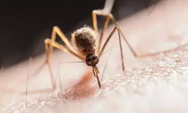 രാജ്യത്ത്​​ വീണ്ടുമൊരു ചൈനീസ്​ വൈറസി​െൻറ സാന്നിധ്യം; അപകടകാരിയെന്ന്​ റിപ്പോർട്ട്​