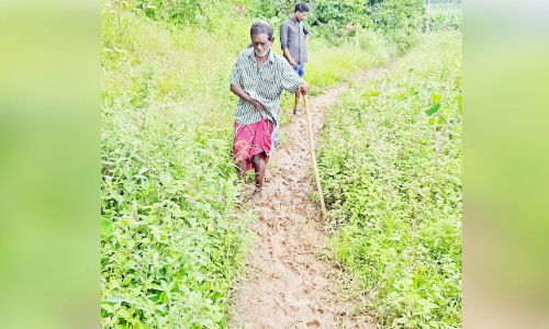 സഞ്ചരിക്കാൻ റോഡില്ല; ദുരിതം പേറി പുഴമുടി കോളനിക്കാർ