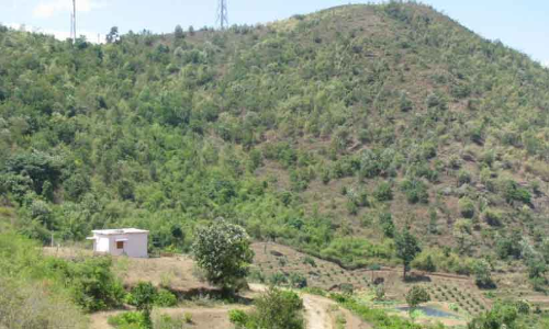 അട്ടപ്പാടി കരാർ: ഒന്നുമറിയില്ലെന്ന് ഐ.ടി.ഡി.പി ഓഫിസർ