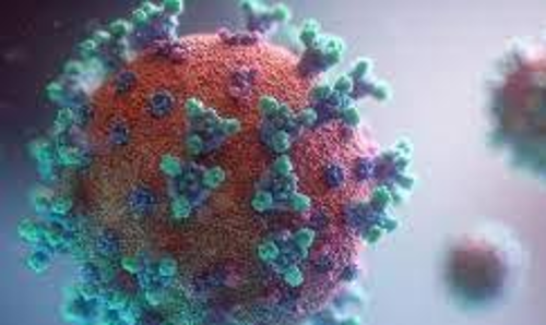 കോവിഡ് : രണ്ടാഴ്​ച കൂടി ശക്തമായ കരുതല്‍ വേണം –കിരീടാവകാശി