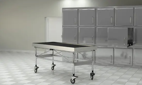 പൂച്ചകൾ ചത്തതിൽ ദുരൂഹത: വീട്ടമ്മയുടെ പരാതിയിൽ േപാസ്റ്റ്മോർട്ടം പൂച്ചകൾ ചത്തതിൽ ദുരൂഹത: വീട്ടമ്മയുടെ പരാതിയിൽ േപാസ്റ്റ്മോർട്ടം