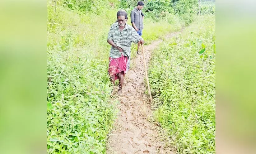 സഞ്ചരിക്കാൻ റോഡില്ല; ദുരിതം പേറി പുഴമുടി കോളനിക്കാർ