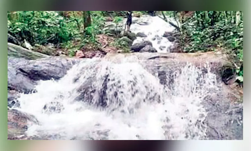 മലമല്കാവില് കണ്നിറയെ കാണാം മിനി വെള്ളച്ചാട്ടം മലമല്കാവില് കണ്നിറയെ കാണാം മിനി വെള്ളച്ചാട്ടം