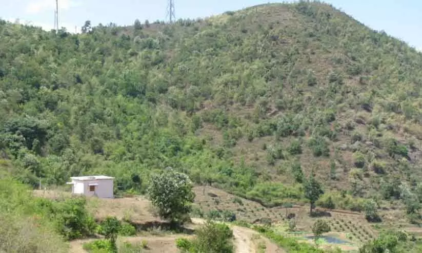 അട്ടപ്പാടി കരാർ: ഒന്നുമറിയില്ലെന്ന് ഐ.ടി.ഡി.പി ഓഫിസർ