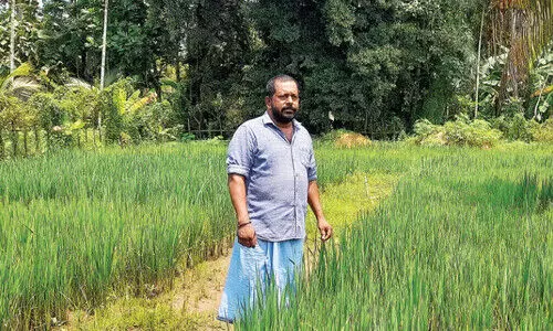 തിരിച്ചെത്തിയത് മരണമുഖത്തുനിന്ന്; ജൈവ കൃഷിക്ക് ഹൃദയം നൽകി മധു തിരിച്ചെത്തിയത് മരണമുഖത്തുനിന്ന്; ജൈവ കൃഷിക്ക് ഹൃദയം നൽകി മധു