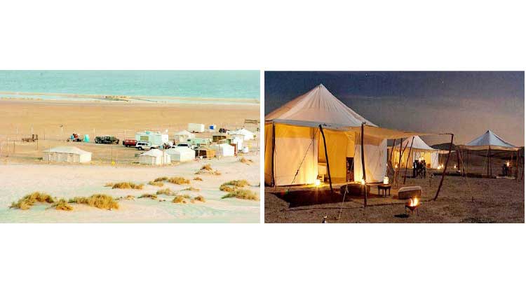 ചൂട് കുറയുന്നു...ഇനി ശൈത്യകാല ക്യാമ്പിങ് സീസൺ ചൂട് കുറയുന്നു...ഇനി ശൈത്യകാല ക്യാമ്പിങ് സീസൺ