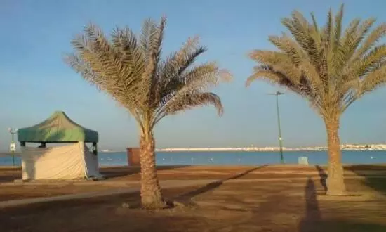 ചൊവ്വാഴ്ച യാംബുവിൽ രേഖപ്പെടുത്തിയത് ആഗോളതലത്തിലെ ഏറ്റവും ഉയർന്ന താപനില