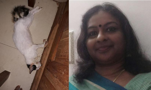 മരിച്ചത്​ മുപ്പതോളം മക്കൾ, ഇനി വയ്യ; അധികൃതർ കണ്ണ്​ തുറക്കണം- വേദനയോടെ ഒരു വീട്ടമ്മയുടെ ഫേസ്​ബുക്ക്​ കുറിപ്പ്​