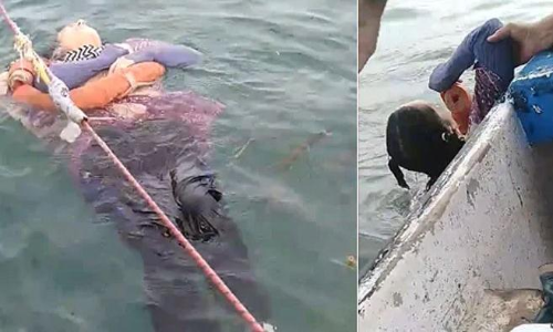 രണ്ടുവർഷം മുമ്പ്​ വീട്ടിൽനിന്ന്​ ഇറങ്ങിപ്പോയ സ്​ത്രീയെ കടലിൽ അബോധാവസ്ഥയിൽ കണ്ടെത്തി