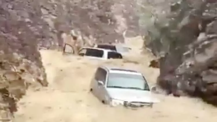 വാദി ഷീസിൽ കനത്ത മഴ: വാഹനങ്ങൾ ഒഴുക്കിൽപ്പെട്ടു വാദി ഷീസിൽ കനത്ത മഴ: വാഹനങ്ങൾ ഒഴുക്കിൽപ്പെട്ടു