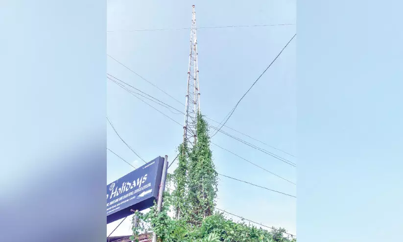 മലപ്പുറത്ത് നഗരസഭയുടെ വൈ ഫൈ സ്മാരകങ്ങൾ മലപ്പുറത്ത് നഗരസഭയുടെ വൈ ഫൈ സ്മാരകങ്ങൾ