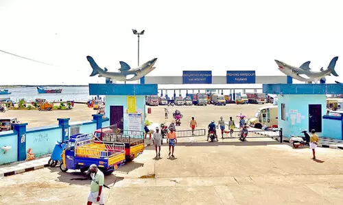 Koyilandy fishing port today
