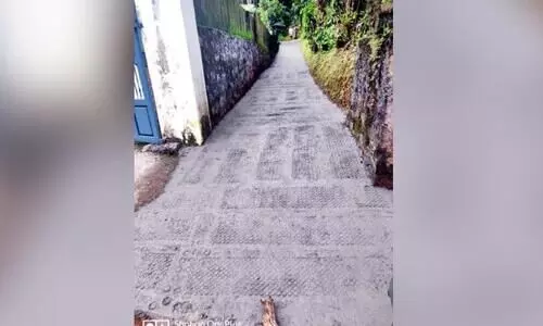 road concreted by udf