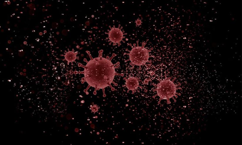 സൗദി അറേബ്യയിൽ 612 പേർ കൂടി കോവിഡ് മുക്തരായി​