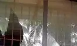 Attack on home Attack on home